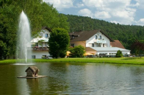 Hotels in Weidenbach